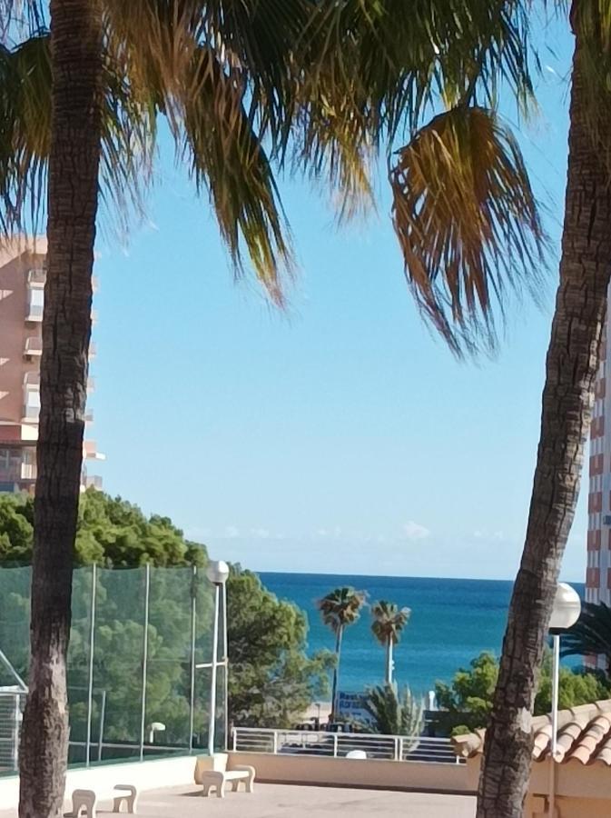 Almar Collection Cullera Bahia Park Apartment Luaran gambar